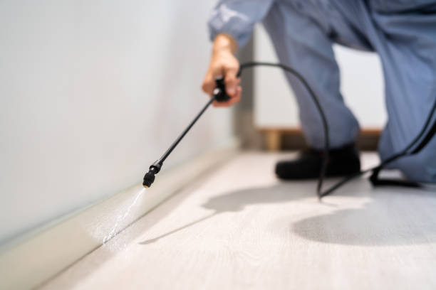 Licensed Pest Control service in Warm Beach, WA - Show Me Pest Control