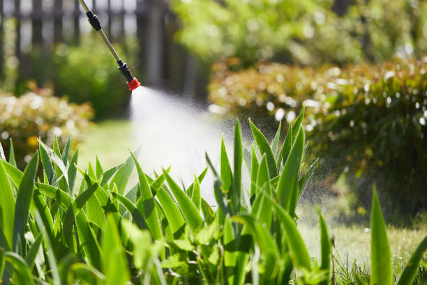 24/7 Emergency Mosquito Control experts in Warm Beach, WA