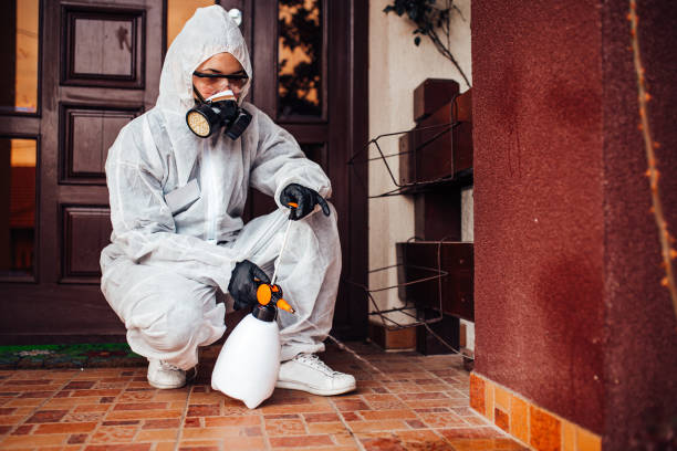 Reliable Mosquito Control contractor in Warm Beach, WA by Show Me Pest Control